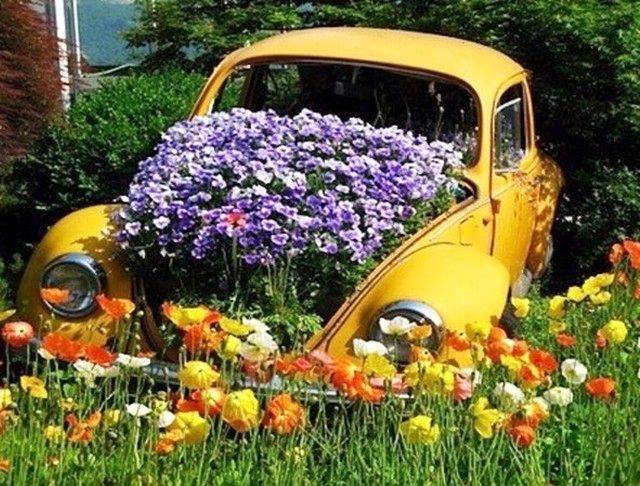 blomsterbed i en bil