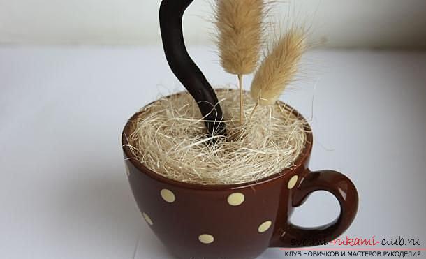 How to make a topiary from coffee beans yourself, step-by-step photos, detailed instructions, tips and recommendations for creating coffee trees of various shapes. Photo Number 18
