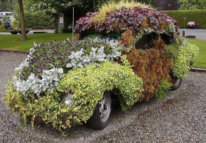 flowerbed on an old car