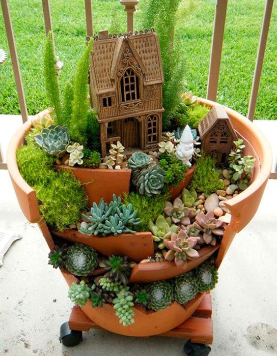 mini garden in a broken pot