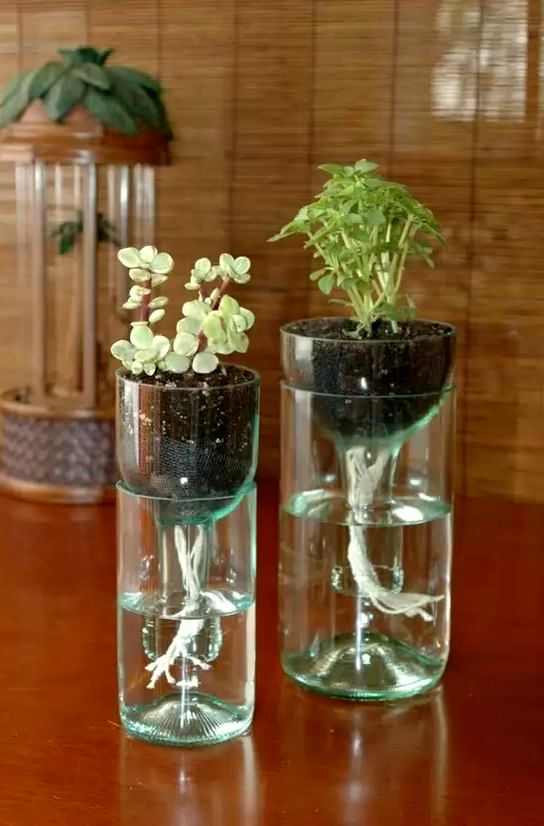 vases from wine bottles