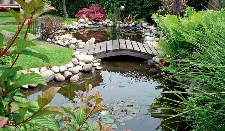 Beautiful pond with a bridge in the photo