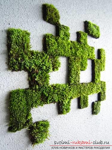 Phytodesign, phyto-paintings from moss with their own hands, advice on making and recommendations for care .. Photo # 2