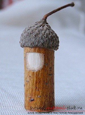 That's what can be made from acorns !. Photo number 12