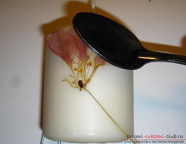 Decoupage of candles with dried flowers. Picture №3