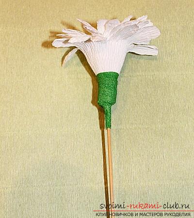 Как да направите букет от диви цветя в дизайна на суитите, стъпка по стъпка снимки на вземане на мак, лайка, слънчоглед, метличина и минзухар. Снимка номер 16