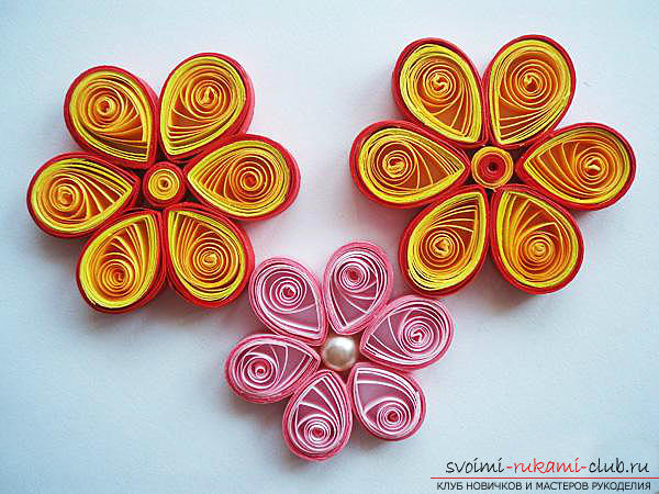 Quilling technique, various flowers in technologyquilling with your own hands, creating compositions using colors, quilling techniques, tips, recommendations and instructions for creating them with phased photos. Photo # 5