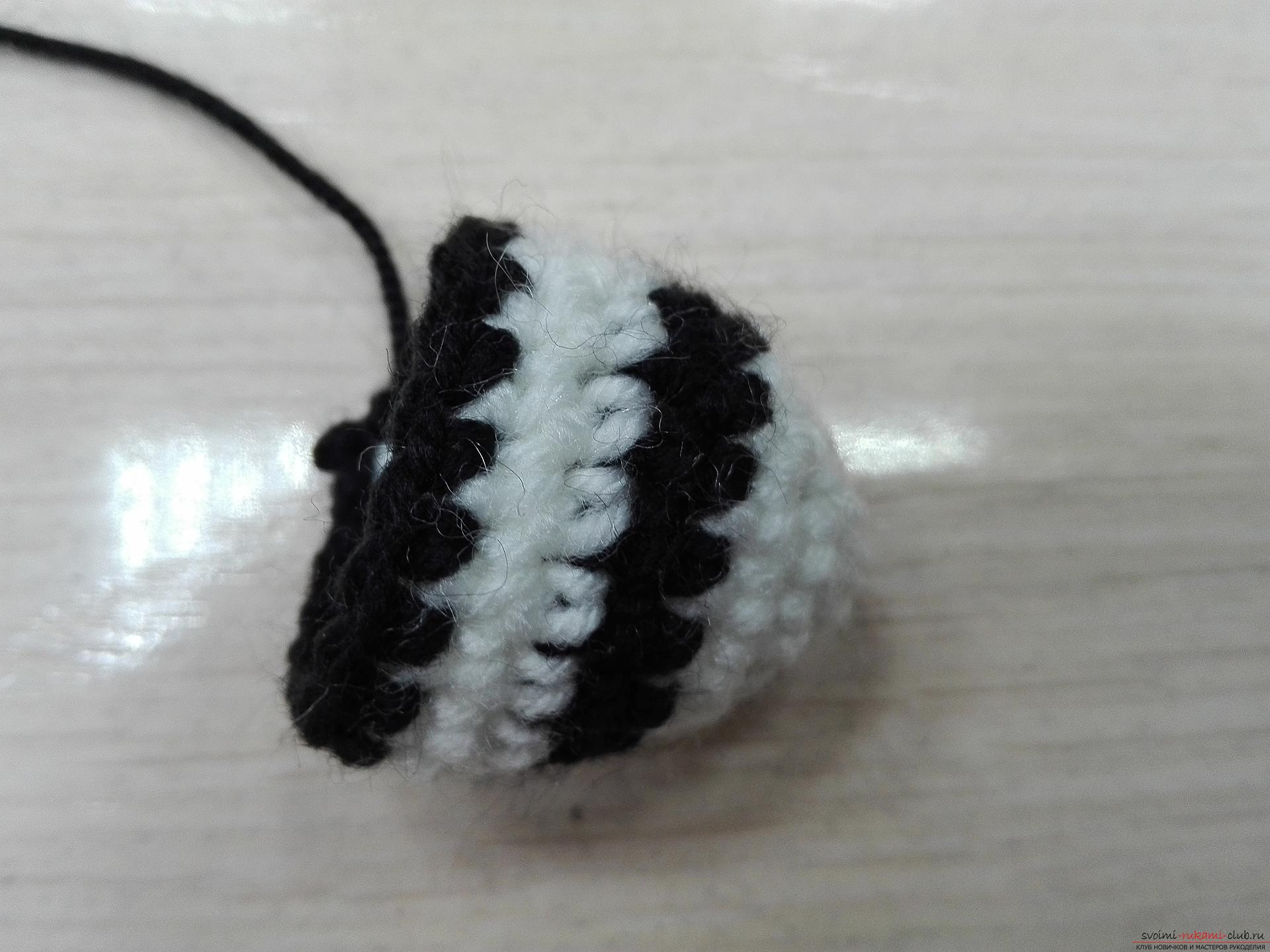 This master class toy itself teach how to tie a zebra crochet. Photo №6