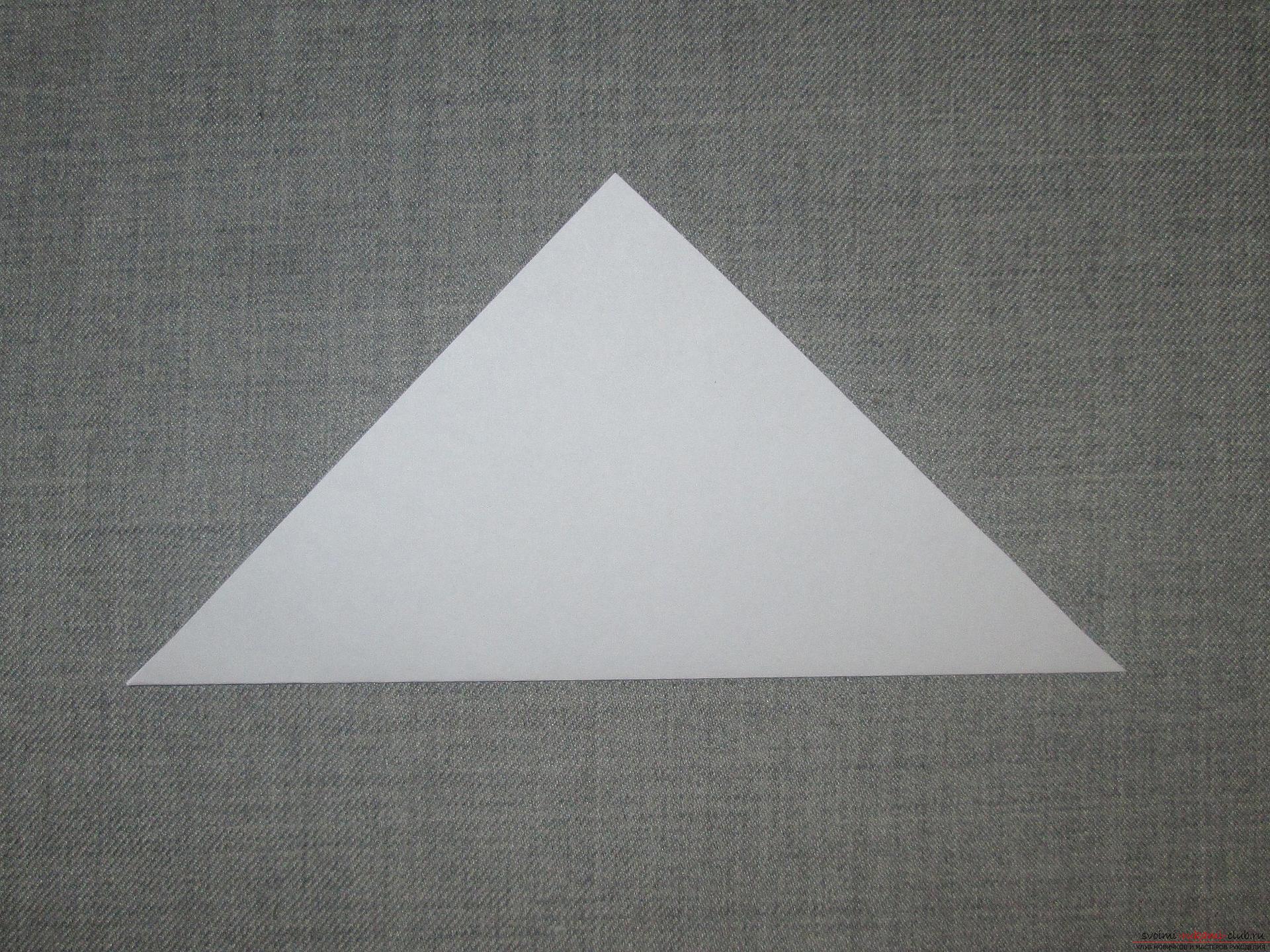 This detailed master-class origami for children of 8 years will teach how to make origami-pigeons from paper .. Photo # 3