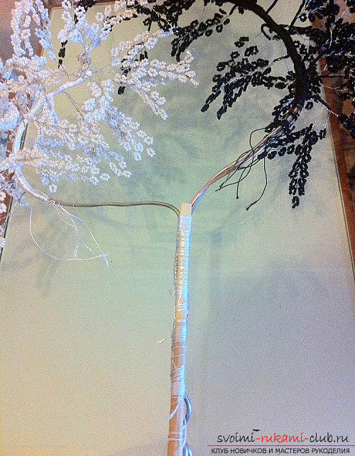 Gedetailleerde stap-voor-stap foto's en beschrijving van het weven van kralenbomen, twee masterclasses ... Foto # 16