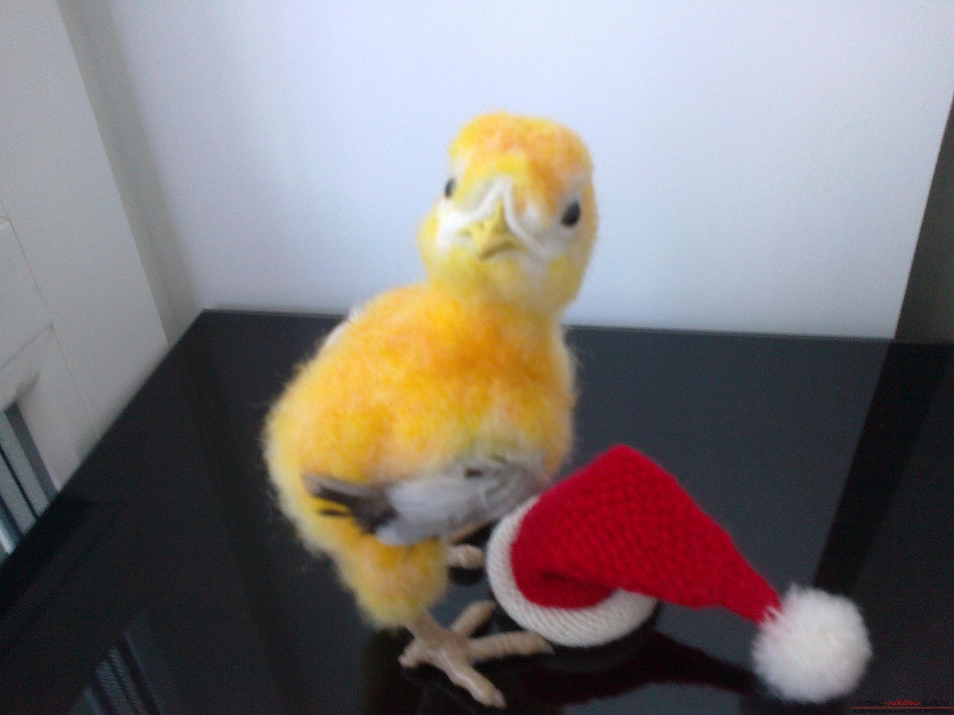 Description of the toy in the form of a chicken, made in the technique of dry felting. Picture №10