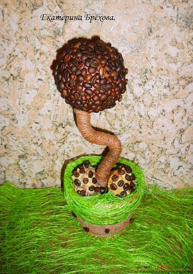 Много занаяти могат да се правят на ръка. Topiary с кафе на зърна могат да украсят вашия дом. Подробен майсторски клас с снимка, за да научите как да направите кафе топири. Снимка # 2