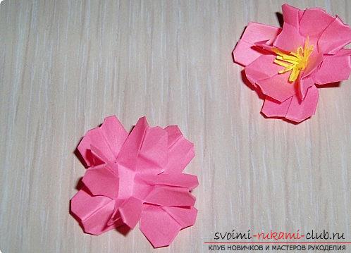 Sakura flowers in origami technique. Photo Number 9