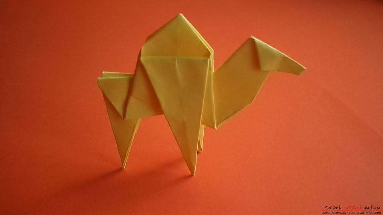 A simple model of a camel origami. Picture №3