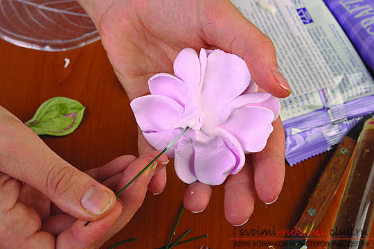 Master classes on the creation of bouquets of polymer clay with a description and photo .. Photo # 47
