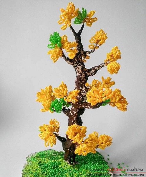 How to make a tree of autumn foliage? Trees from beads and a photo lesson. Photo №1