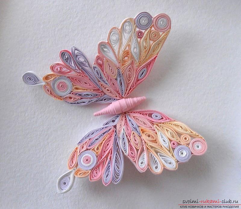 En trin-for-trin sommerfugl lektion i quilling teknik. Billede №3