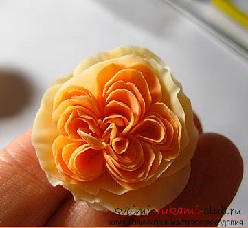 The English rose with their own hands - flowers from polymer clay and a master class. Photo №8