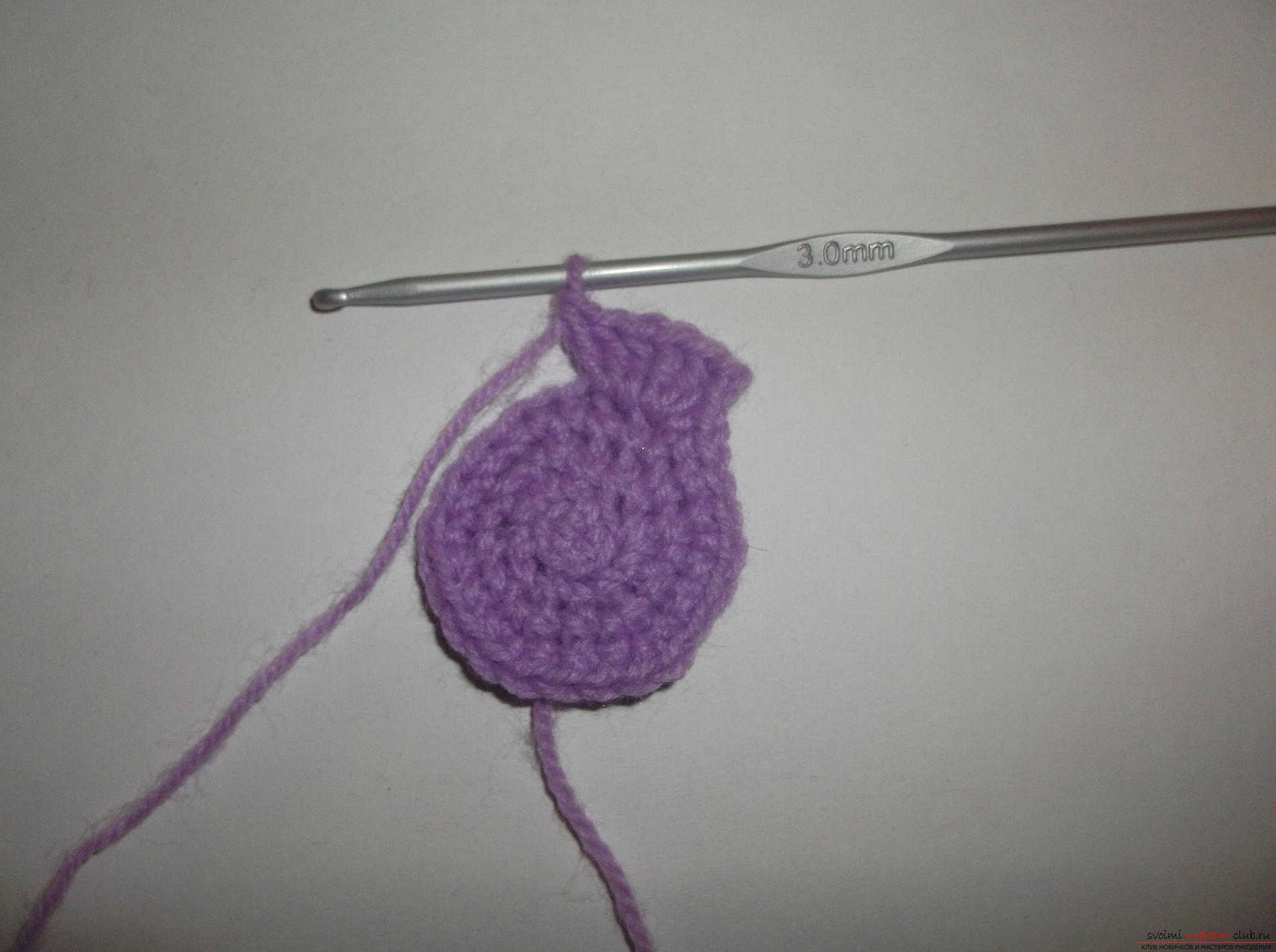 A lesson on crochet crochet lilac poppy. Photo # 2