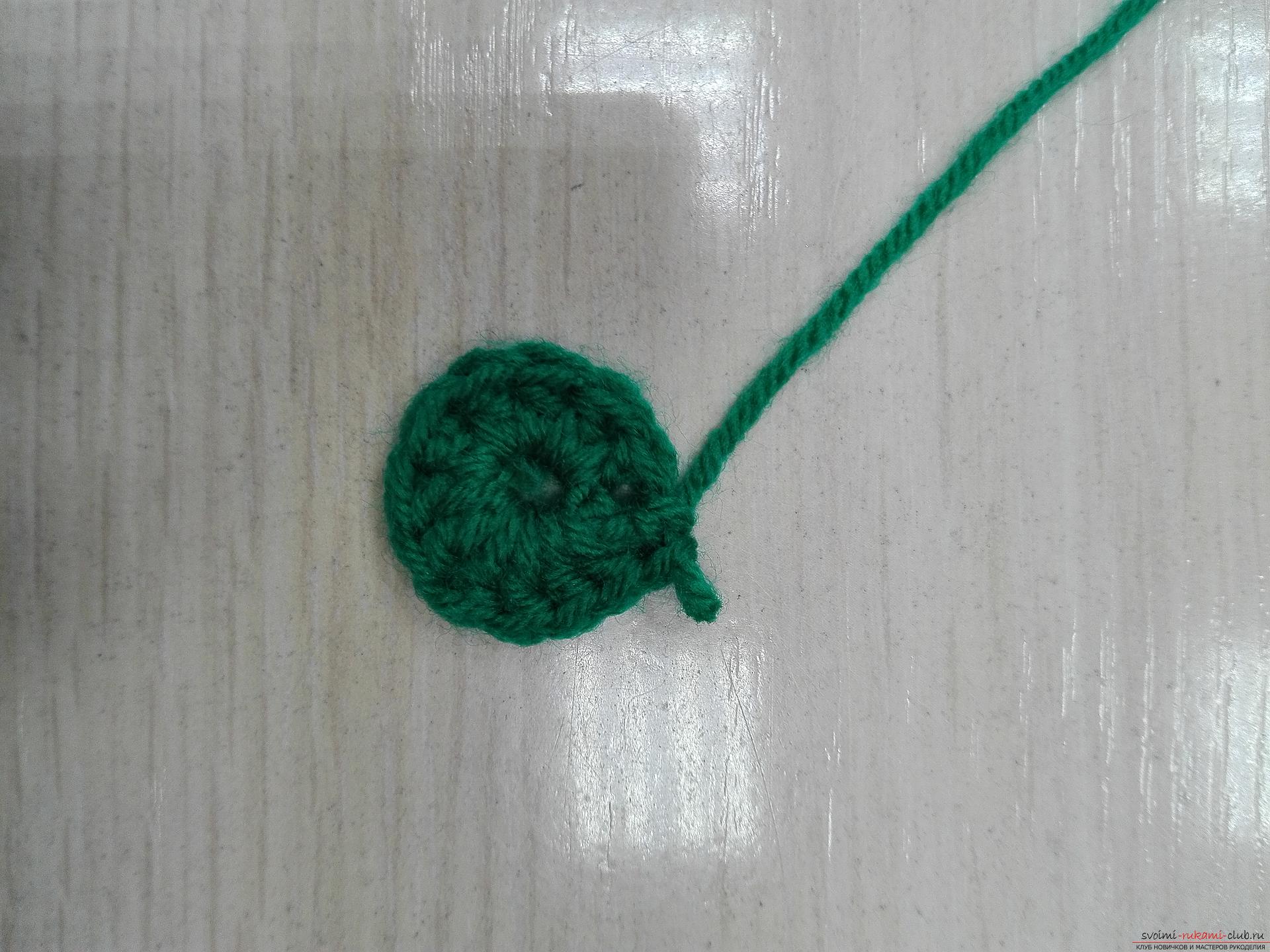 A master class with detailed photos and descriptions will teach crochet crochet needle crochet. Photo # 2