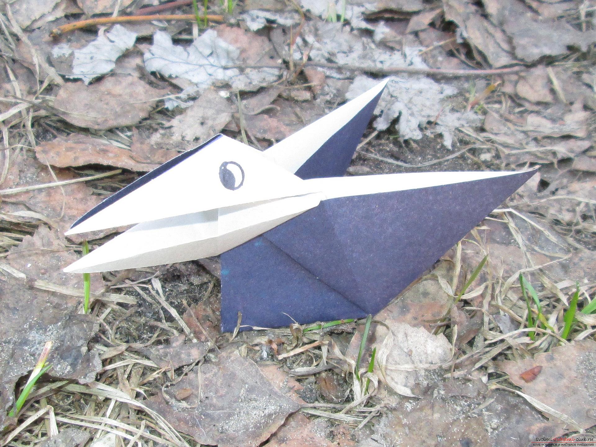 This detailed master class with photo and description will teach you how to make origami for beginners - origami-crow from paper .. Photo # 1