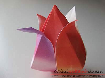 Origami tulips by hand. Lessons in the creation and photography of materials .. Photo # 1