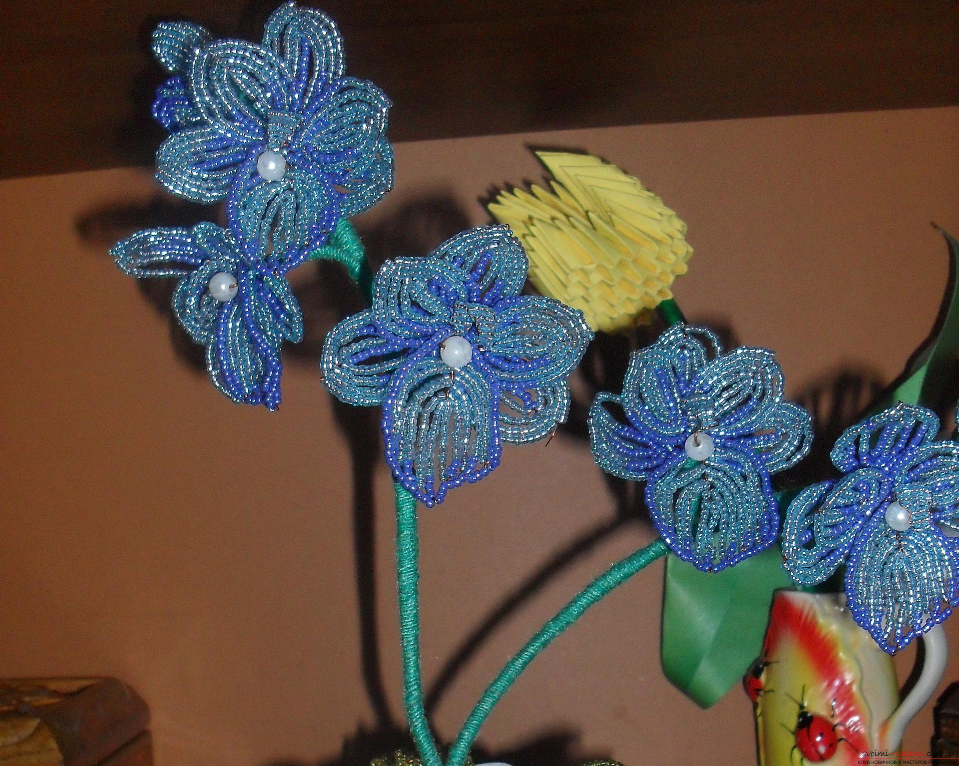 Ця орхідея - квітка з бісеру, подивившись на фото, ви зрозумієте як її плести. фото №2