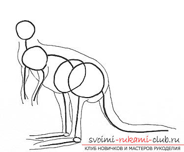 Стъпка по стъпка рисувайте кенгуру с молив. Снимка №3