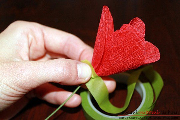 way to make paper scarlet poppies with your own hands. Photo №4
