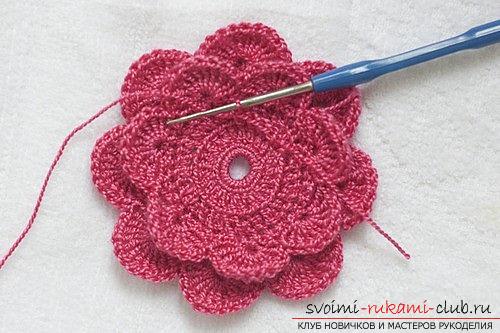 How to knit crochet flowers, tips and master classes with a photo .. Photo # 30