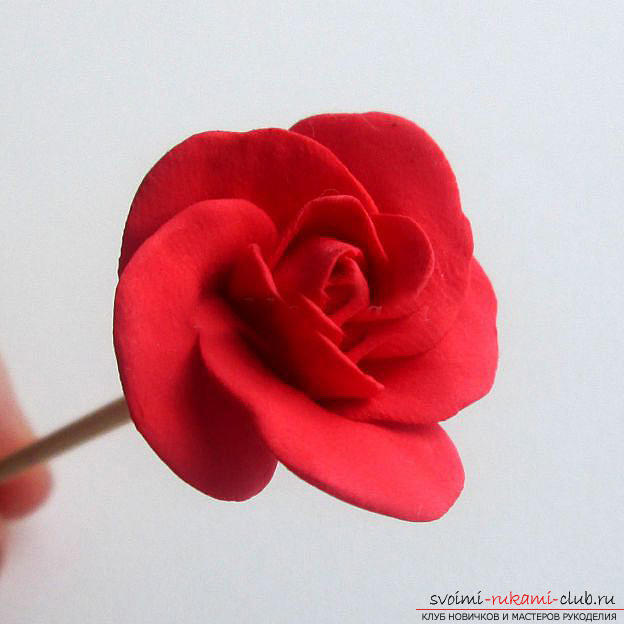 How to make a souvenir with roses in person to the Day of all lovers ?. Photo Number 11
