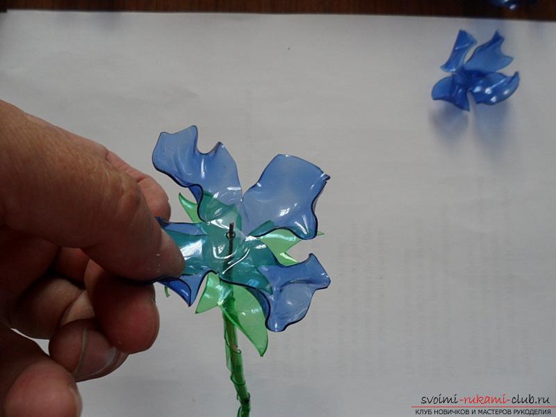 Kézműves műanyag palackok saját kezével, hogyan készítsünk virágokat műanyag palackokból, műanyag palackból készült kukorica virágokból, rózsák palackból saját kezűkkel .. Photo №15