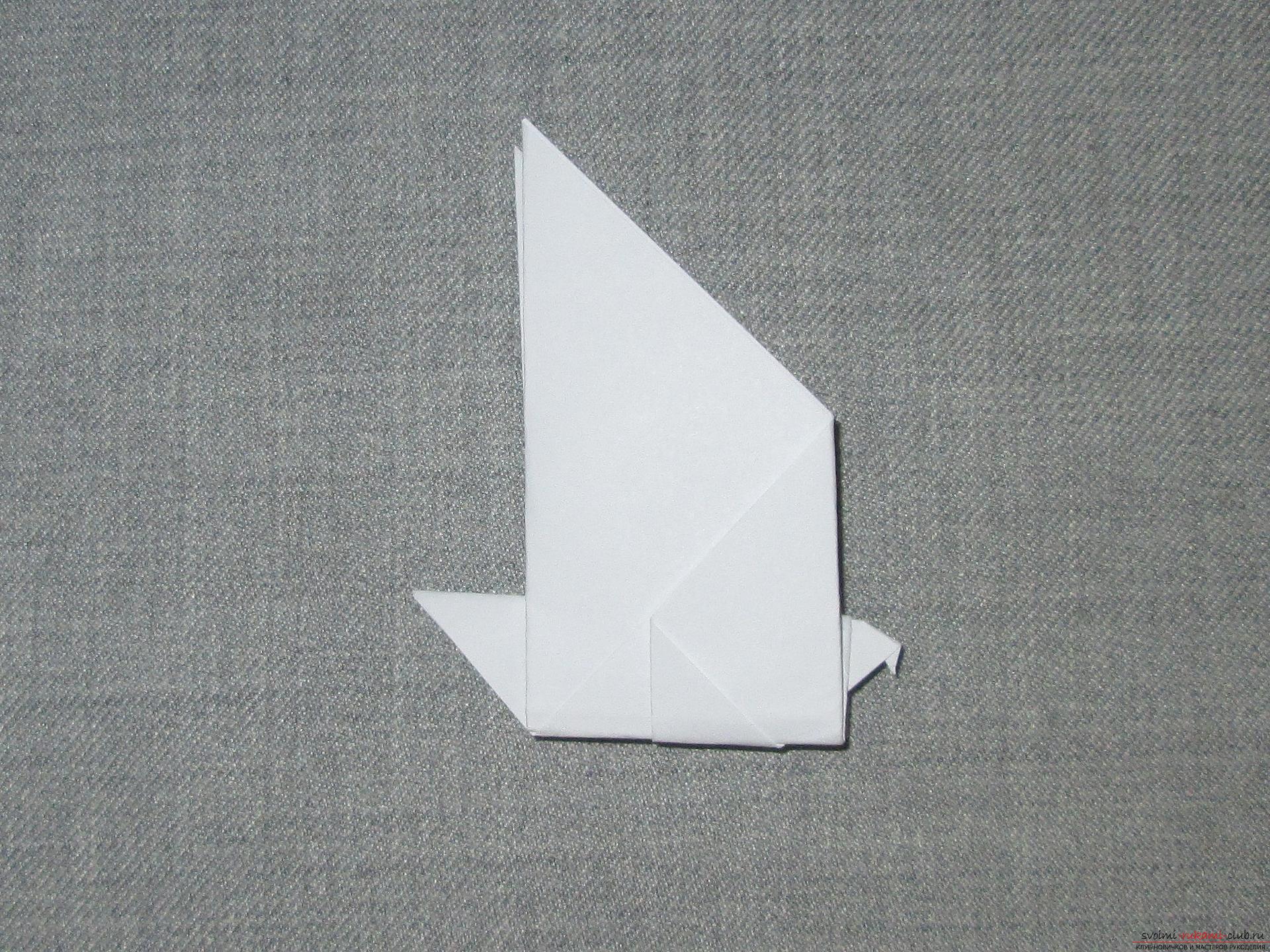 Deze gedetailleerde workshop van origami voor kinderen van 8 jaar leert hoe je origami-duiven van papier kunt maken. Foto # 8