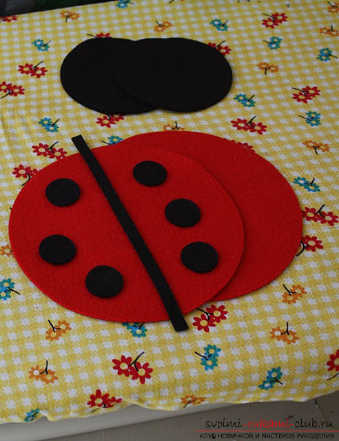 A toy for flowers "Ladybug". Photo №1