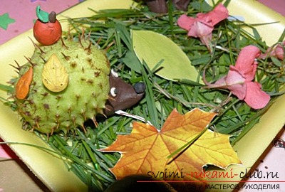 Here's what you can do from chestnuts .. Photo # 11