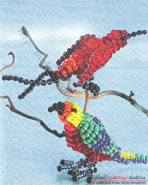 Detailed schemes of weaving exotic animals from beads, photos of finished products .. Photo # 10