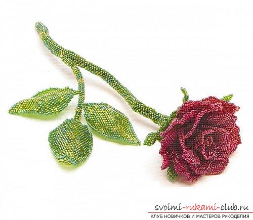 Free schemes of weaving roses from beads, master classes with photo and description of work .. Photo # 2