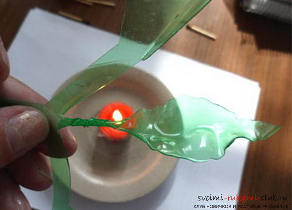 Free master classes on creating flowers from plastic bottles .. Photo №15