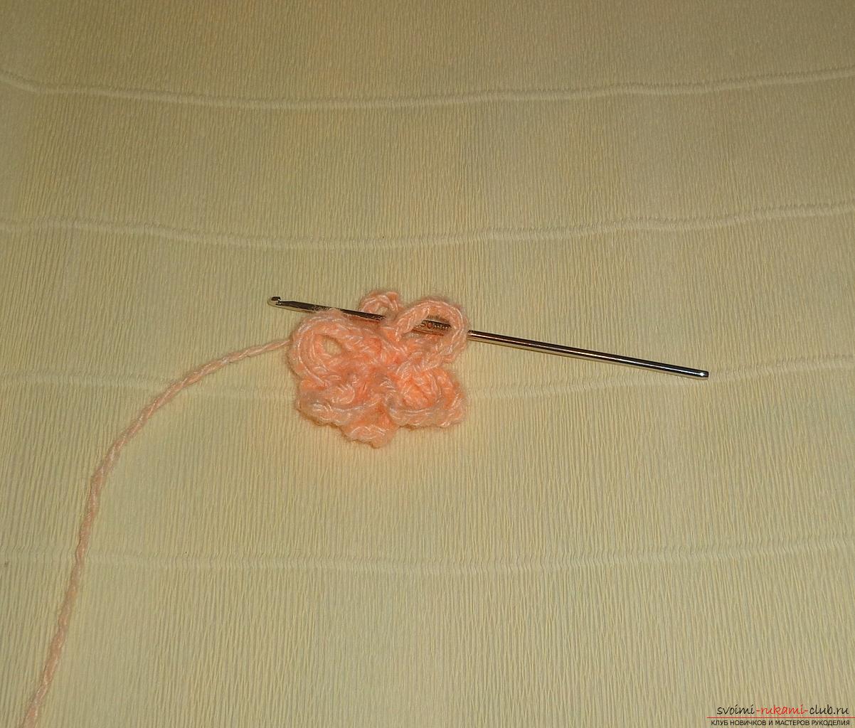 This master class of crochet crochet contains a rose pattern and a description of knitting .. Photo # 20