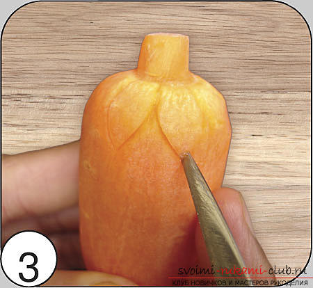 How to make beautiful and original products fromvarious vegetables, step-by-step photos and instructions for creating flowers from onions, mokovi, red cabbage and Peking cabbage, handmade pumpkin in carving techniques. Photo # 23