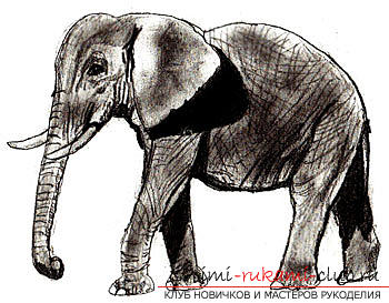 Step by step drawing an elephant in pencil. Photo №7