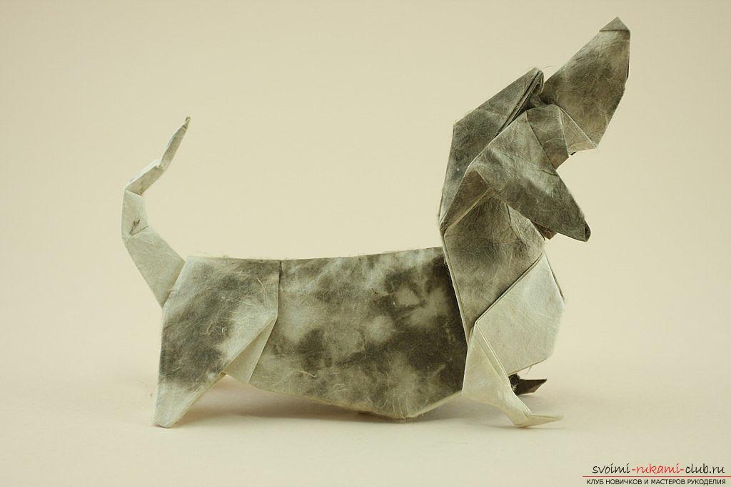 Схеми складання фігурок собак в техніці орігамі. фото №3