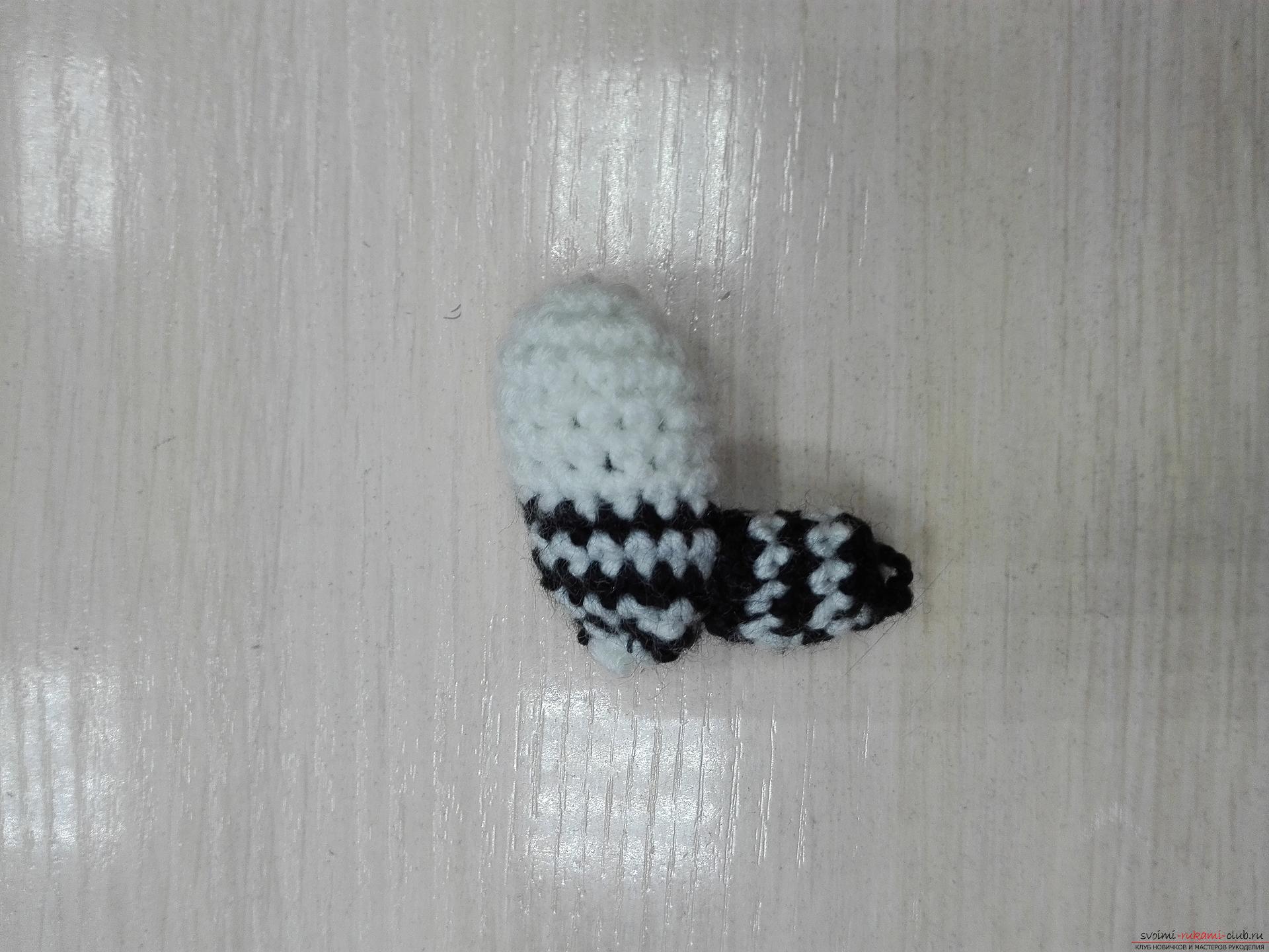 This master class toy itself teach how to tie a zebra crochet. Photo №26