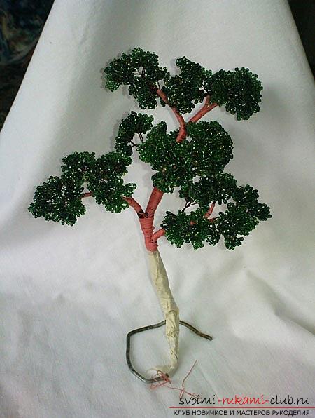 Hoe maak je een bonsai van kralen met je eigen handen met turn-based foto's. Afbeelding №10