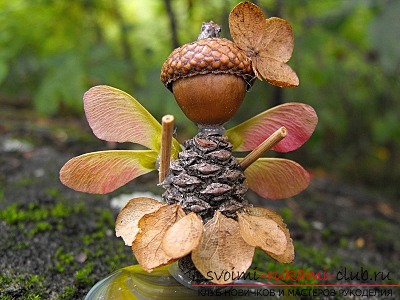That's what can be made from acorns !. Photo №7