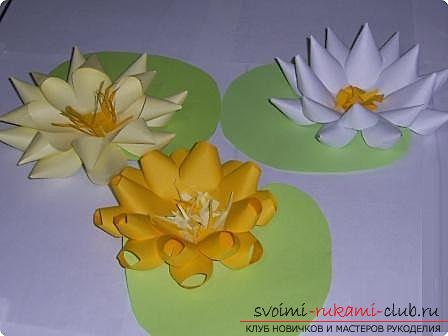 How to make a flat and three-dimensional application of colored paper, various kinds of applications and step-by-step photo creation of hand-made articles. Photo number 16