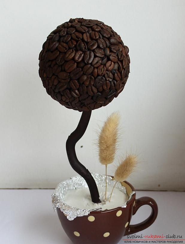 How to make a topiary from coffee beans yourself, step-by-step photos, detailed instructions, tips and recommendations for creating coffee trees of various shapes. Photo number 16