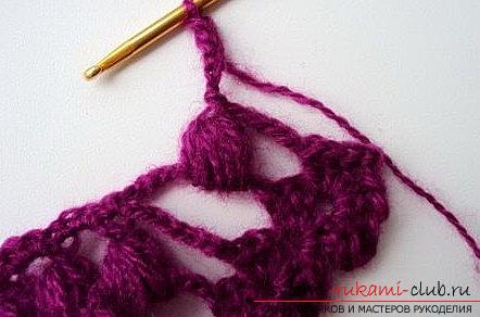 Grape pattern for shawl crochet - patterns for shawls crocheted and patterns. Photo # 2