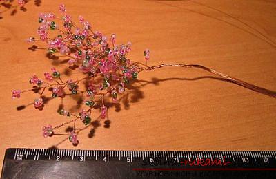 Wie webt man Sakura aus Perlen, detaillierte Meisterkurse mit Schritt-für-Schritt-Foto und Beschreibung .. Foto №39