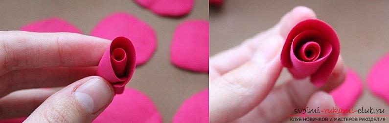 How to mold a rose from polymer clay, a master class with a detailed description and a photo .. Photo # 2